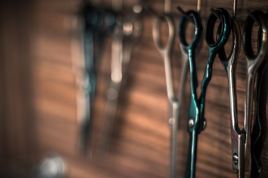 Scissors racked and ready for the day